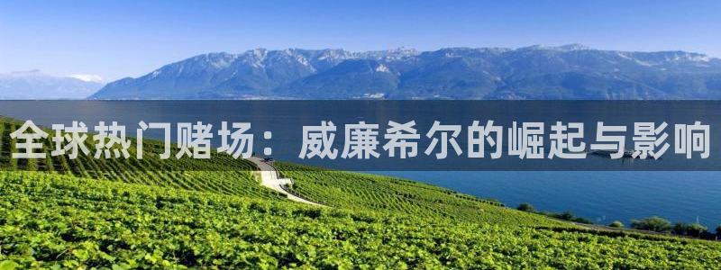 500网官网入口