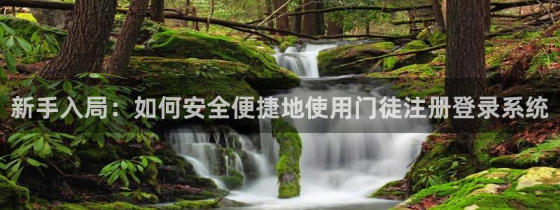 500网app的精选预测汇总