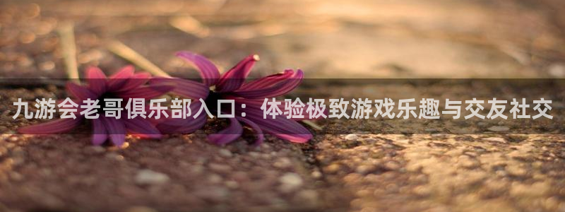500网混合过关