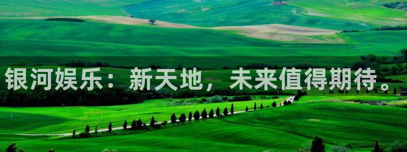 500网安卓版下载