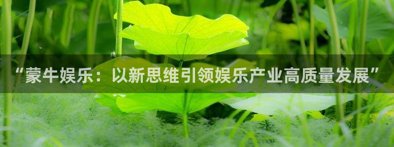 足球比赛结果500网直播