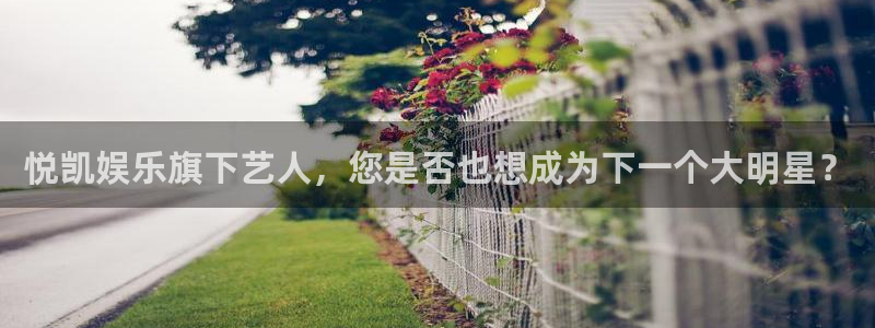 500网么能看出结果