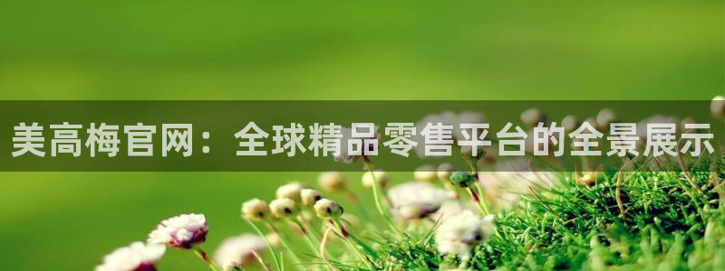 500网么能看出结果