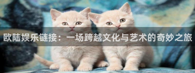 足球比分500网