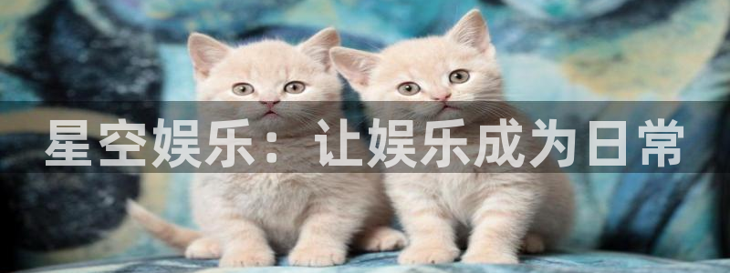 500网app下载