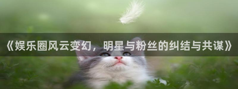 500网app苹果版