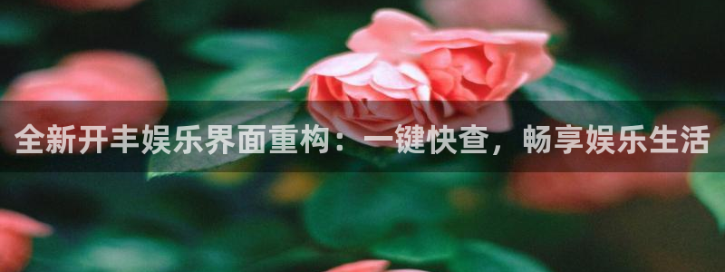 500网竞彩比分