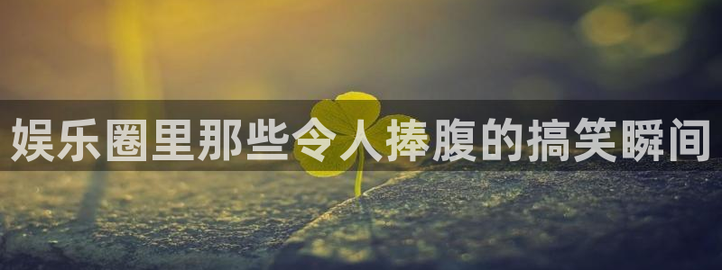 500网预测一个比分