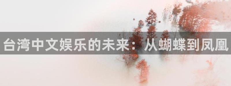 篮球比赛500网