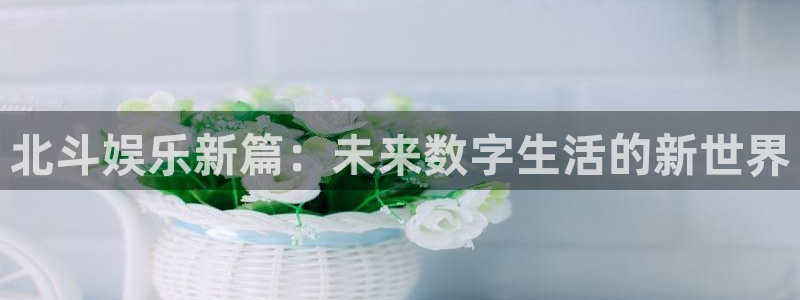 足球比赛500网