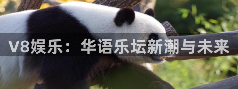 今天足球比赛结果500网