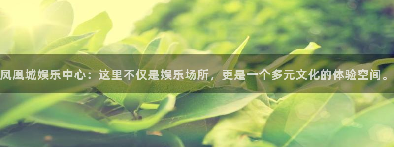 500彩票网官网