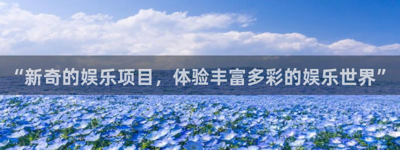 500网2026世界杯