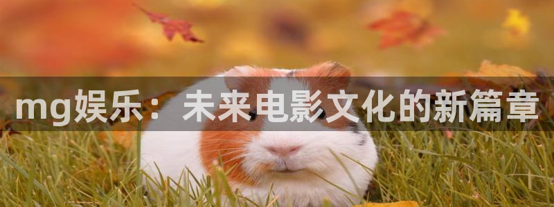 足球比赛500网：mg娱乐：未来电影文化的新篇章