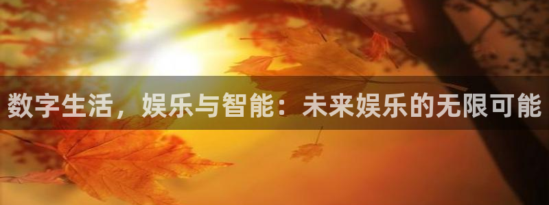 足球比赛结果查询500网：数字生活，娱乐与智能：未来娱乐的无限可能