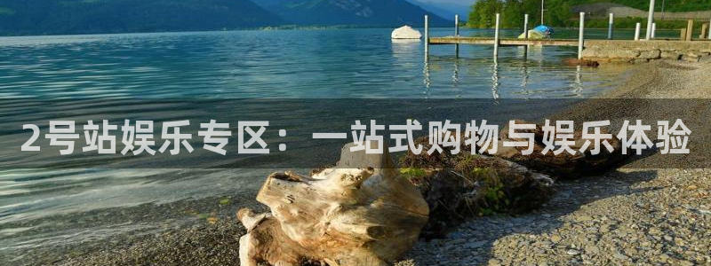 500网三地试机号：2号站娱乐专区：一站式购物与娱乐体验