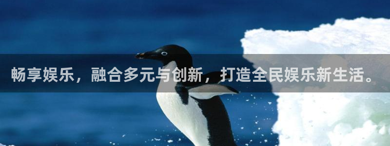 500网app的精选预测汇总：畅享娱乐，融合多元与创新，打造全民娱乐新生活。