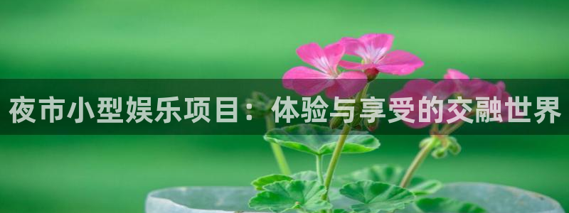 500网足球比赛直播：夜市小型娱乐项目：体验与享受的交融世界