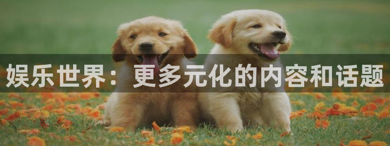 500网足球即时比分：娱乐世界：更多元化的内容和话题