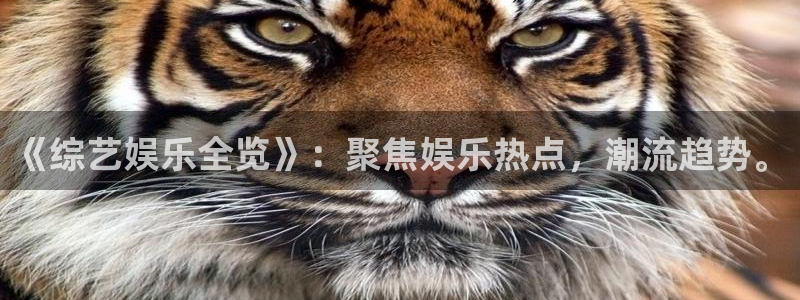 今天足球比赛结果500网：《综艺娱乐全览》：聚焦娱乐热点，潮流趋势。