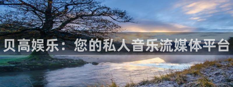 500网app下载