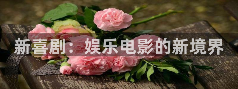 篮球比赛500网