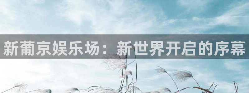 500网预测一个比分
