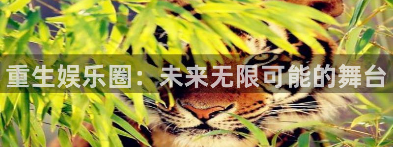 500网app官网下载
