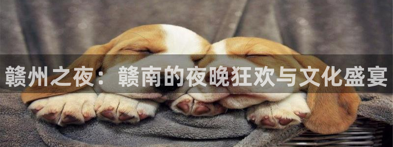 足球比赛直播500网：赣州之夜：赣南的夜晚狂欢与文化盛宴