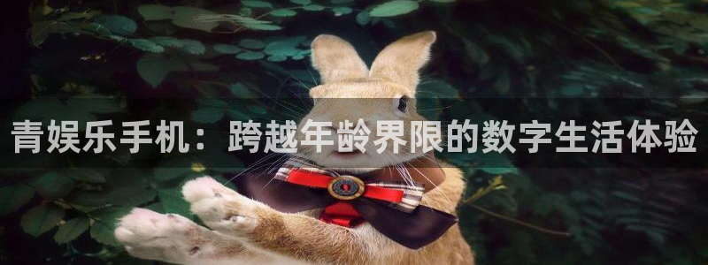 篮球比赛结果查询500网：青娱乐手机：跨越年龄界限的数字生活体验